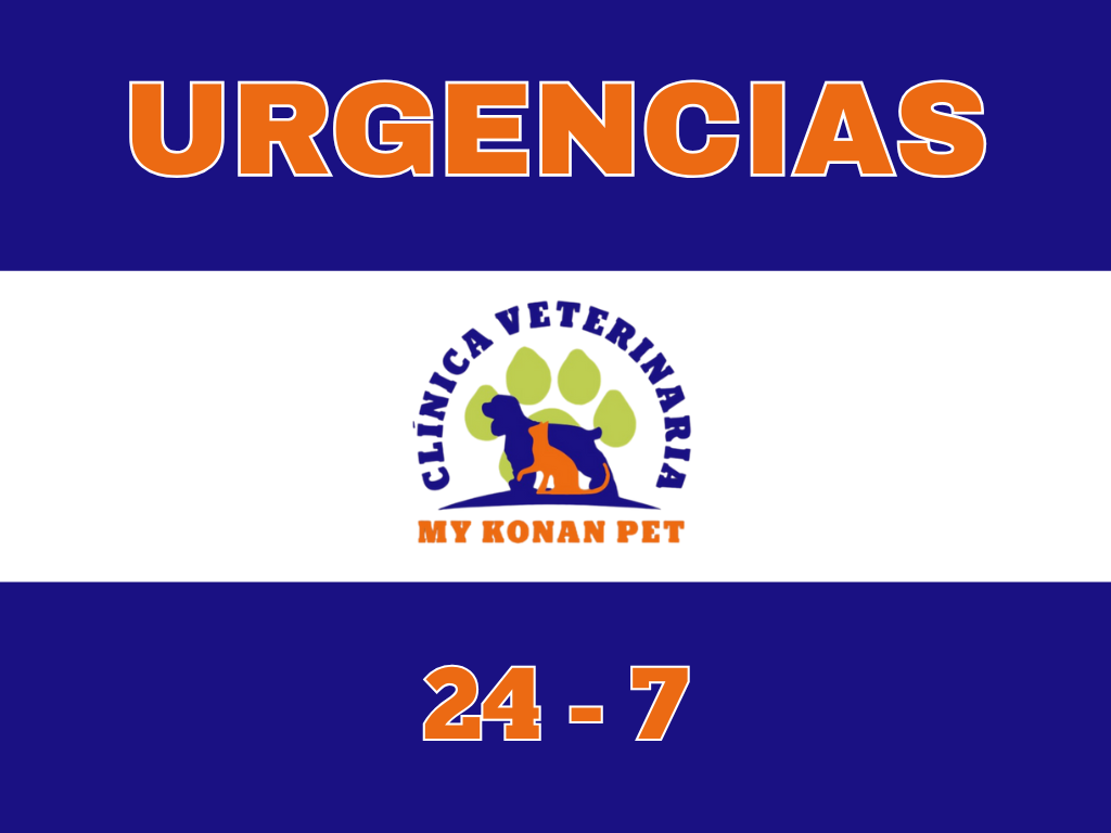 Urgencia – Mykonan pet (2)