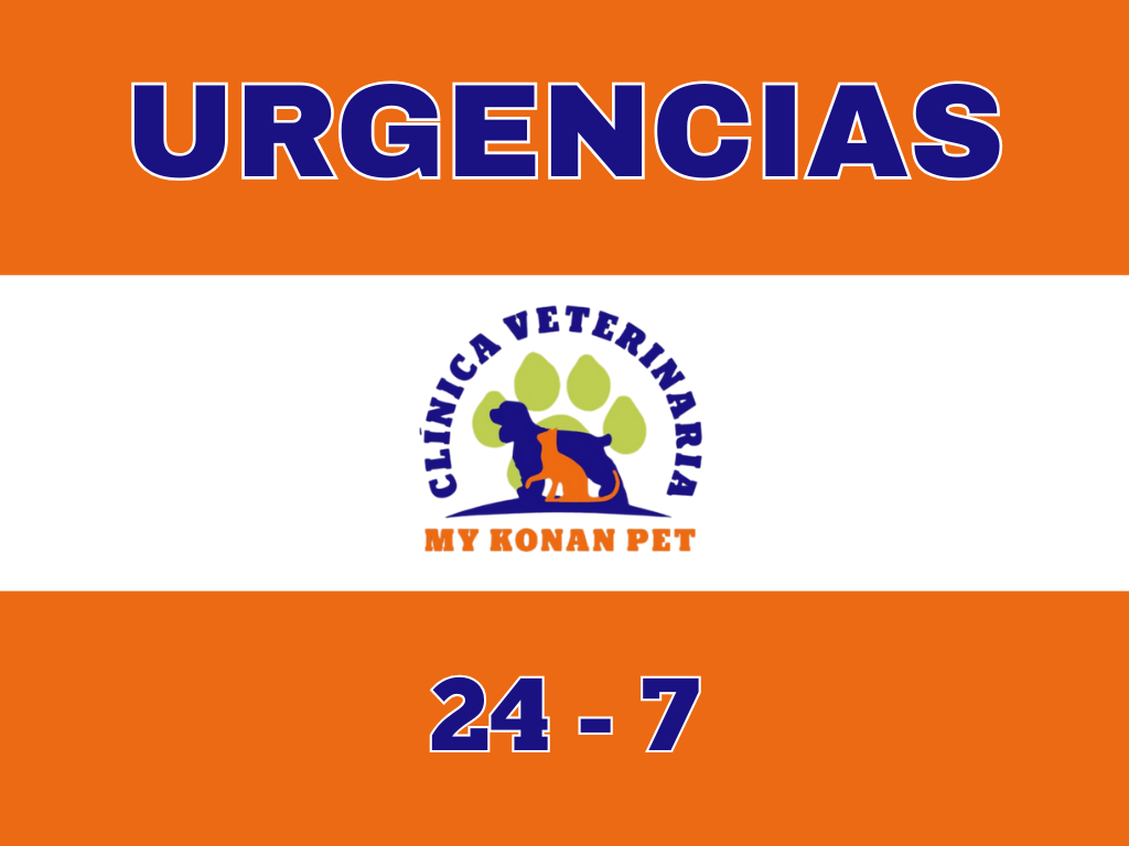 Urgencia – Mykonan pet